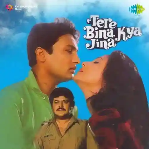 Tere Bina Kya Jina 1989 cover image
