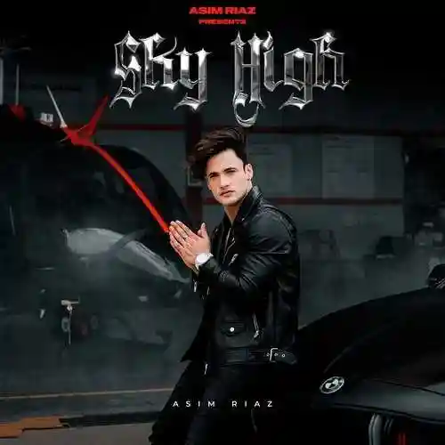 Sky High - Asim Riaz cover image