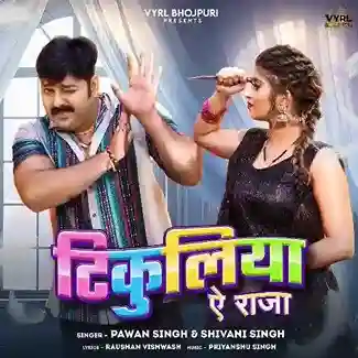Tikuliya Ae Raja - Pawan Singh 2024 cover image