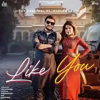 Like You - Vicky Dhaliwal 2022 cover image
