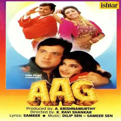 Aag 1994 cover image