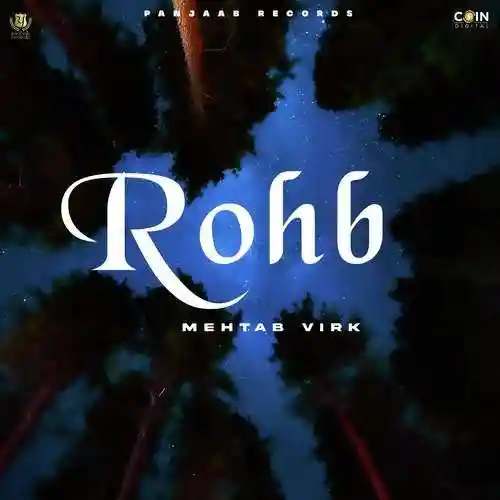 Rohb - Mehtab Virk cover image