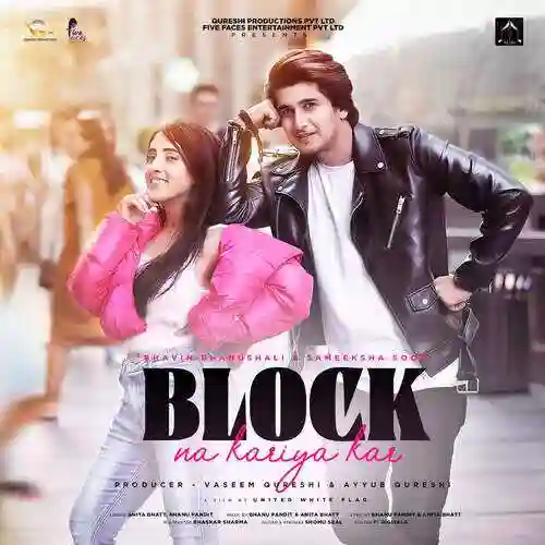 Block Na Kareya Kar - Anita Bhatt cover image