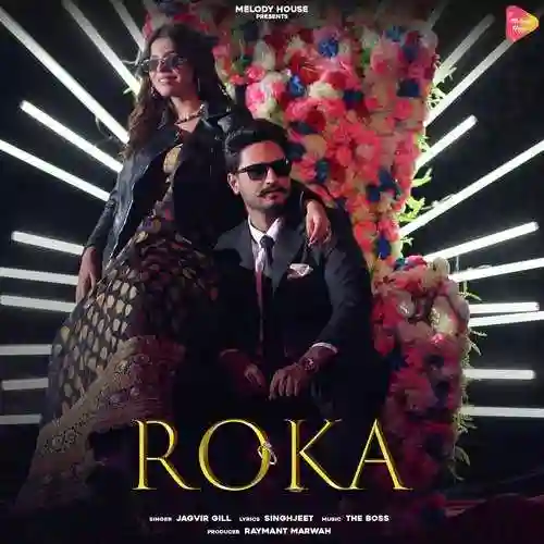 Roka - Jagvir Gill cover image