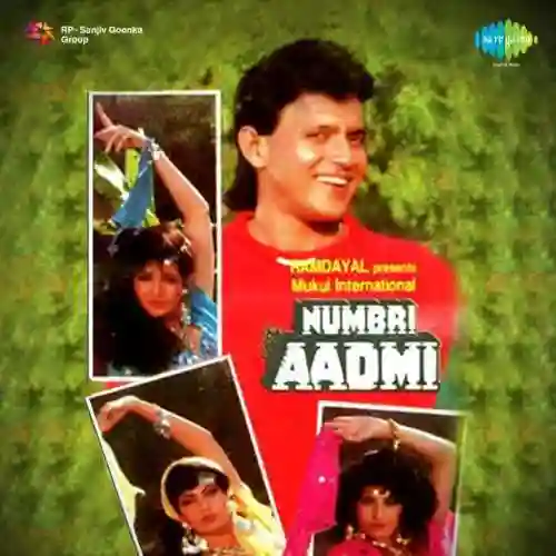 Numbri Aadmi 1991 cover image