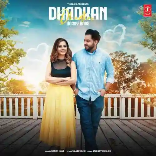Dhadkan - Harry Hans cover image