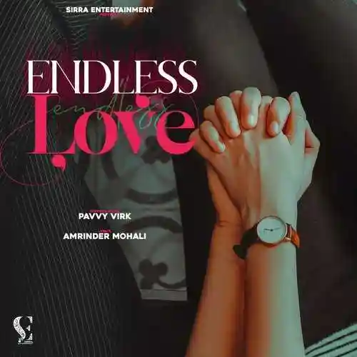 Endless Love - Pavvy Virk 2022 cover image