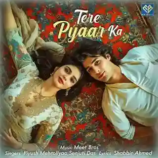 Tere Pyaar Ka - Meet Bros. 2024 cover image