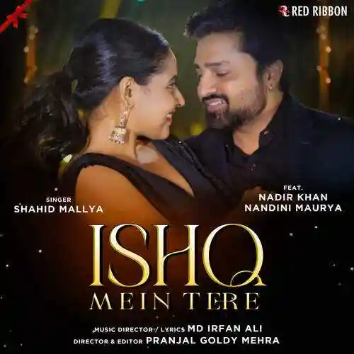 Ishq Mein Tere - Shahid Mallya 2023 cover image