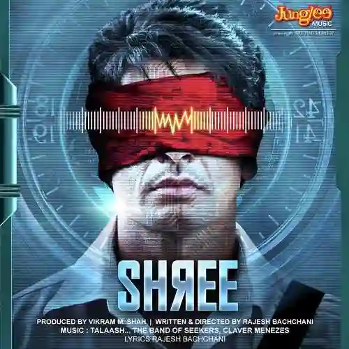 Shree 2013 cover image