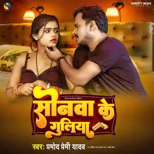 Sonwa Ke Guliya - Pramod Premi Yadav cover image