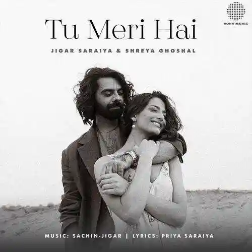 Tu Meri Hai - Jigar Saraiya cover image