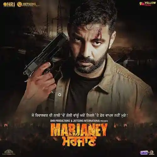 Zindgi Yaaran Di cover image