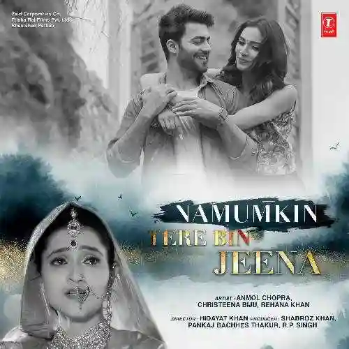 Namumkin Tere Bin Jeena 2020 cover image