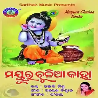 Krushna Krushna - Anjali Mishra 2016 cover image