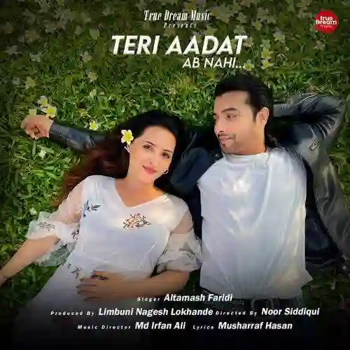 Teri Aadat Ab Nahi - Altamash Faridi 2024 cover image