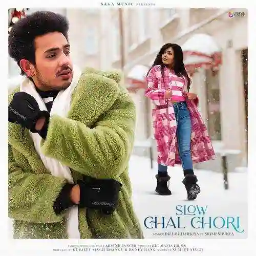 Slow Chal Chori - Diler Kharkiya cover image