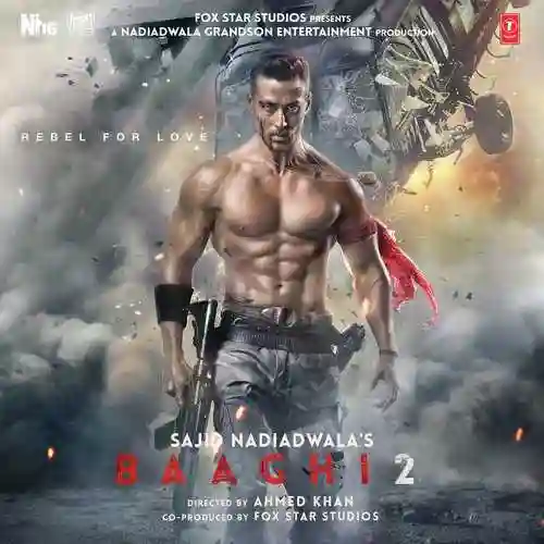 Baaghi 2 2018 cover image