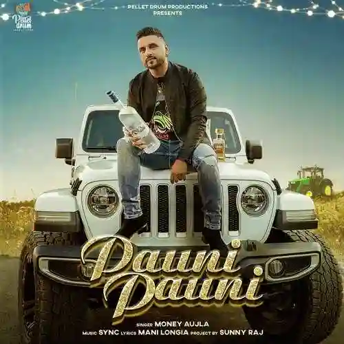 Pauni Pauni - Money Aujla cover image