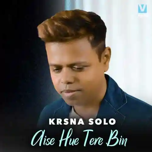 Aise Hue Tere Bin - Krsna Solo cover image