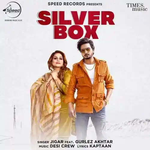 Silver Box - Jigar cover image