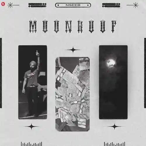 Moonroof - Nseeb cover image