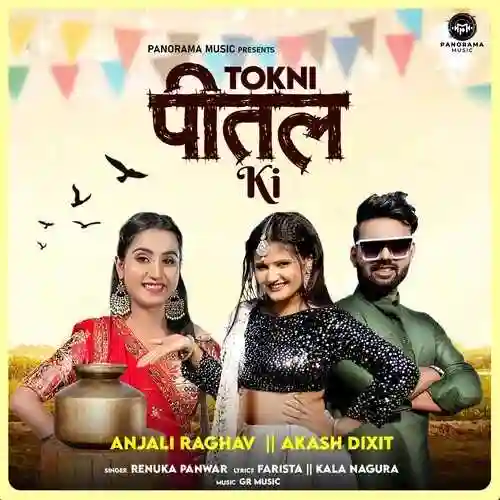 Tokni Pittal Ki - Renuka Panwar cover image