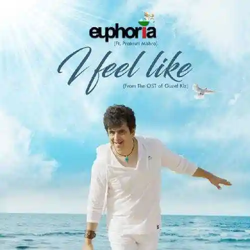 I Feel Like - Palash Sen 2024 cover image