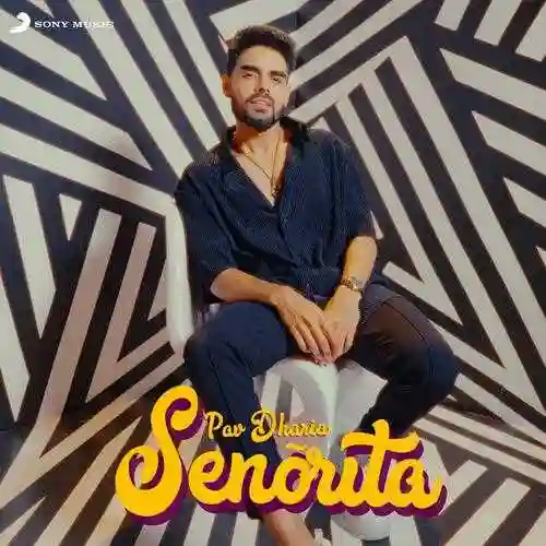 Senorita - Pav Dharia cover image