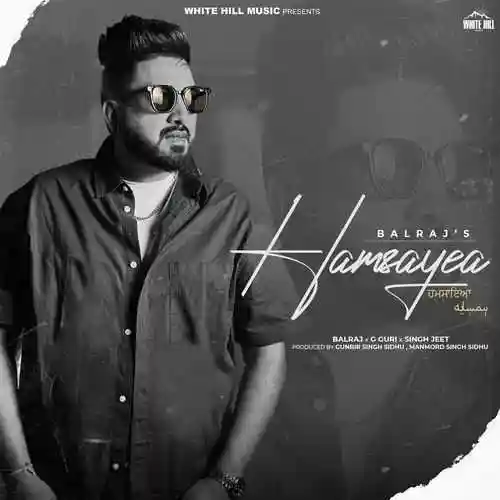 Hamsayea 2024 cover image