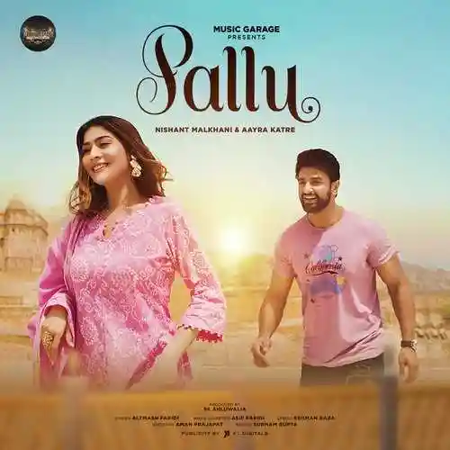 Pallu - Altamash Faridi 2023 cover image