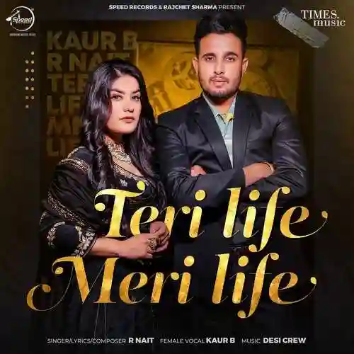 Teri Life Meri Life - R Nait 2021 cover image