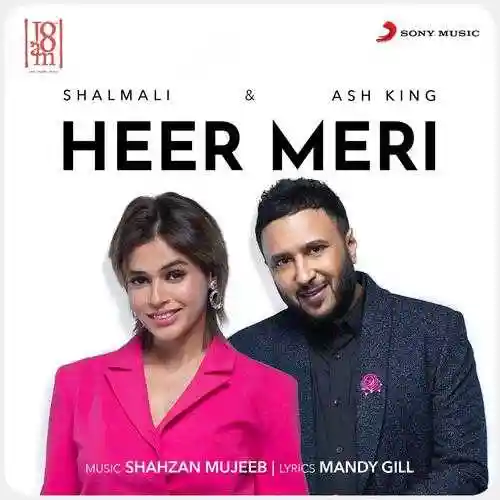 Heer Meri - Ash King 2022 cover image