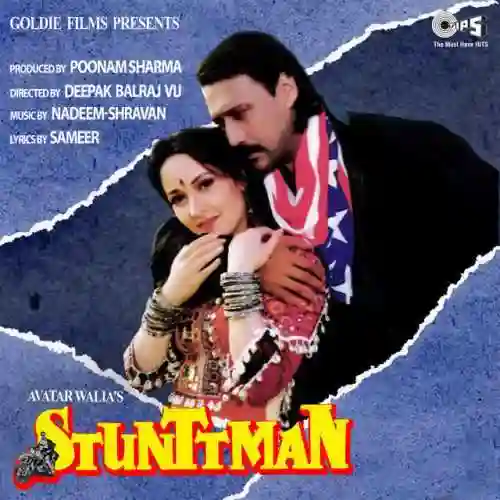 Stunttman 1994 cover image