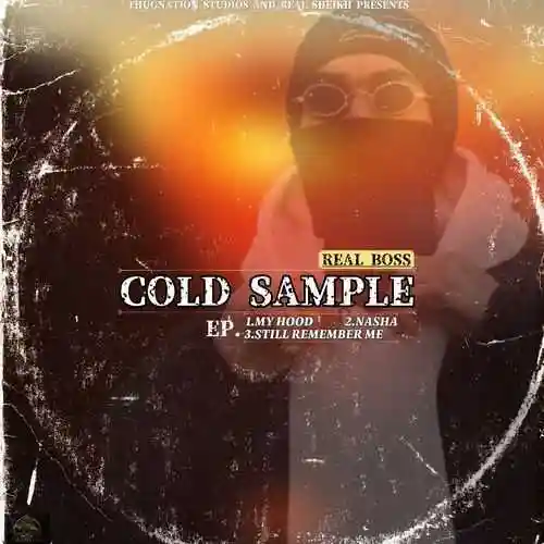 COLD SAMPLE 2024 cover image
