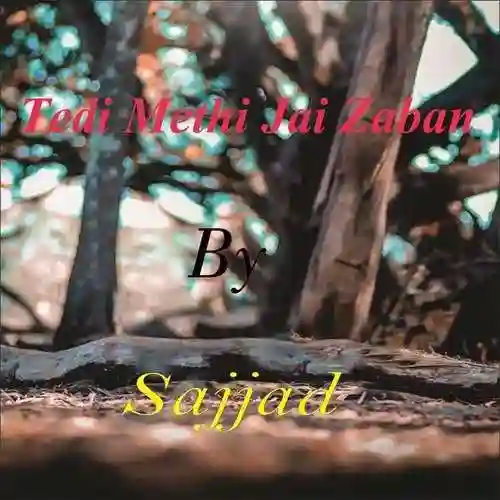 Tedi Methi Jai Zaban - Sajjad 2022 cover image