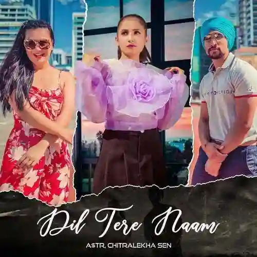 Dil Tere Naam - Chitralekha Sen cover image