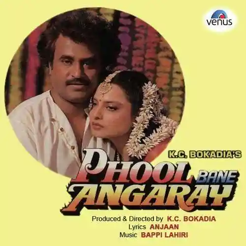 Phool Bane Angaray 1991 cover image