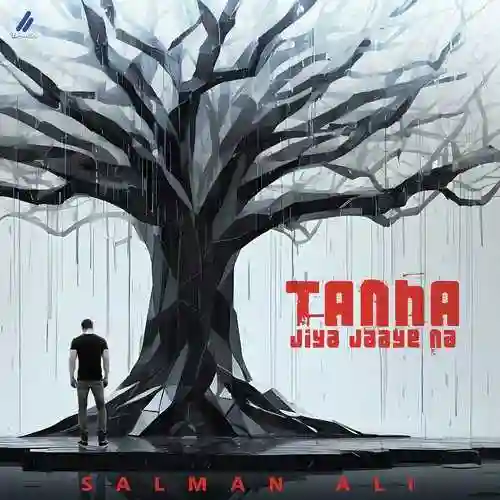 Tanha Jiya Jaaye Na - Salman Ali 2024 cover image