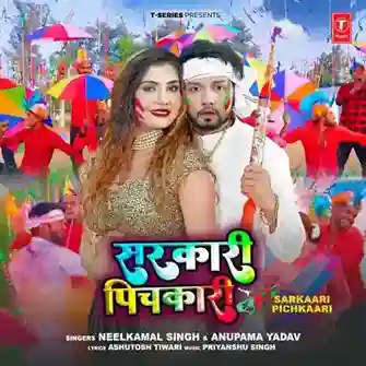 Sarkaari Pichkaari - Neelkamal Singh 2024 cover image