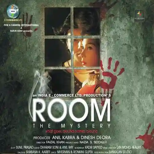 Room The Mystery 2014 cover image