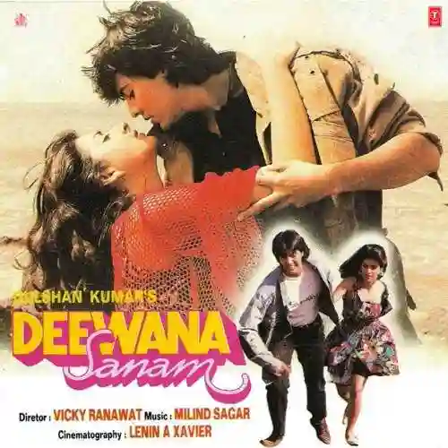 Deewana Sanam 1994 cover image