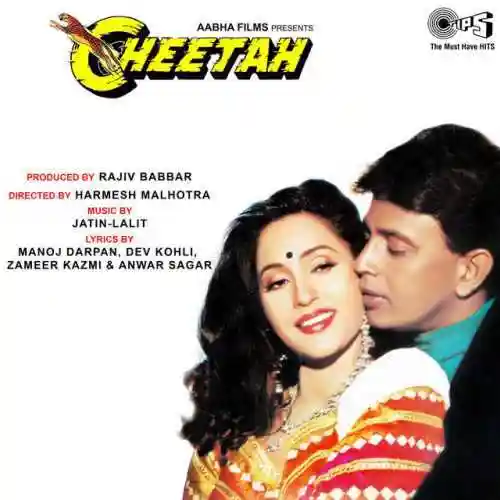 Cheetah 1994 cover image