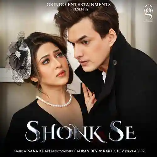 Shonk Se - Afsana Khan cover image