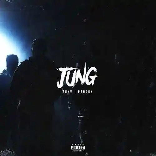 Jung - SHXV - SHXV cover image
