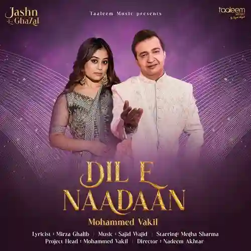 Dil E Naadaan - Mohammed Vakil 2024 cover image