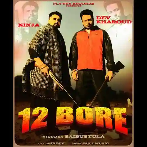 12 Bore - Ninja 2025 cover
