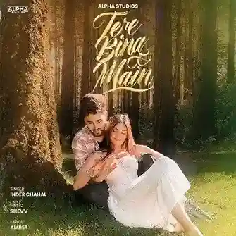 Tere Bina Main - Inder Chahal 2024 cover image