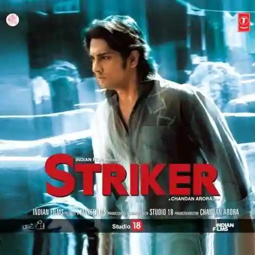 Striker 2010 cover image
