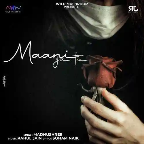 Maani Ja - Soham Naik cover image